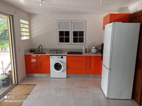 Superbe F2 tout confort avec terrasse et jardin